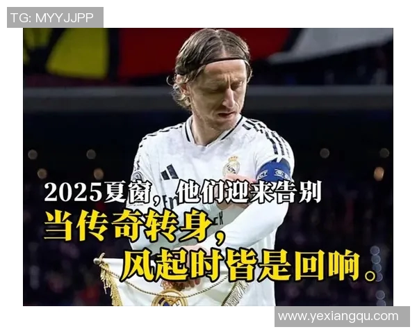 足球明星号码33号的传奇故事与背后不为人知的奋斗历程